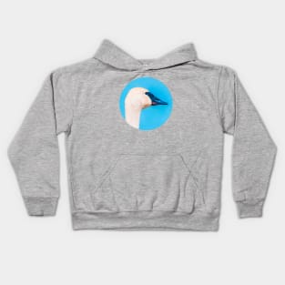 Hey, Swan Kids Hoodie